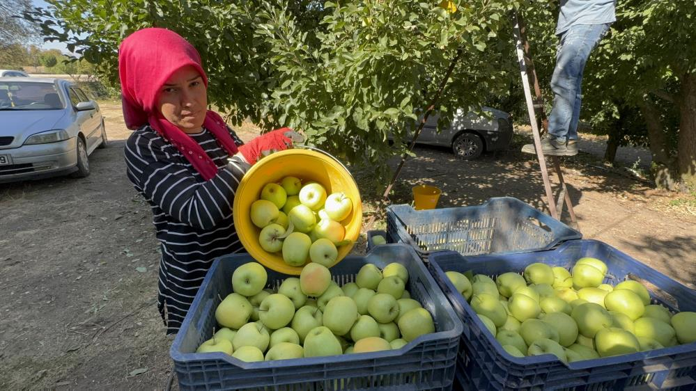 Isparta&#039;da rekolte kaybı yüzde 80&#039;e ulaştı