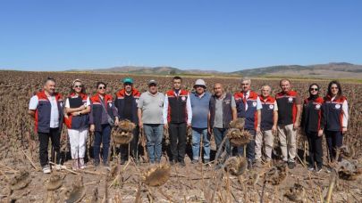Tokat’ta 18,6 ton hibeli tohumun bereketi