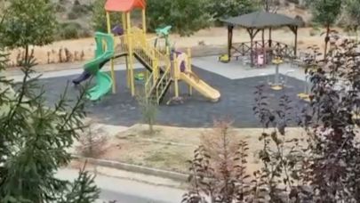 Çocuk parkında oynayan tilkiler hem şaşırttı hem gülümsetti