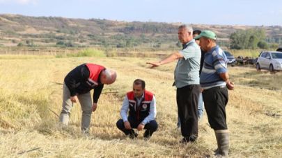 Tohum desteği verilen çeltik tarlasında hasat yapıldı