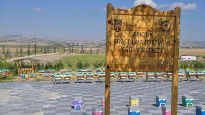 Ankara'da Arıcılık Araştırma ve Üretim Merkezi kuruldu