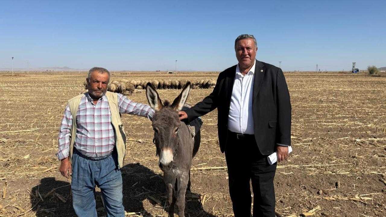 Besicinin feryadı: 25 inek 150 koyunum var ama geçinemiyorum