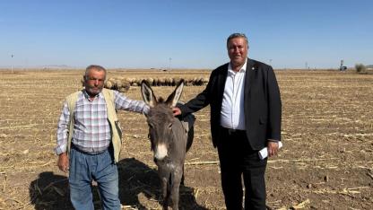 Besicinin feryadı: 25 inek 150 koyunum var ama geçinemiyorum