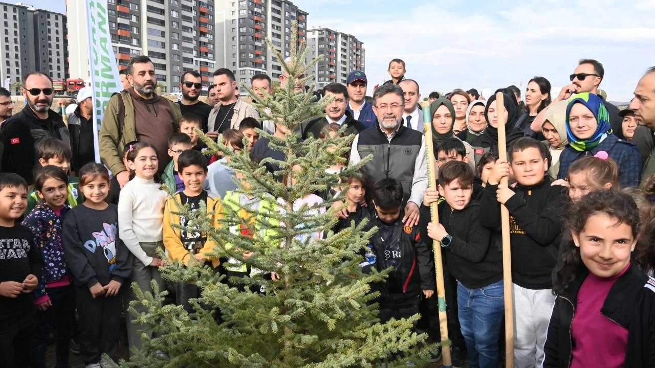 Bir yılda 550 milyon fidan ve tohum toprakla buluşacak