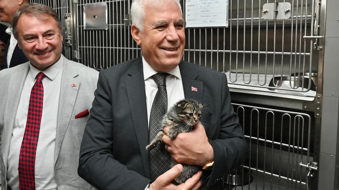 Bursa Büyükşehir&#039;den sokak hayvanlarına şefkat eli