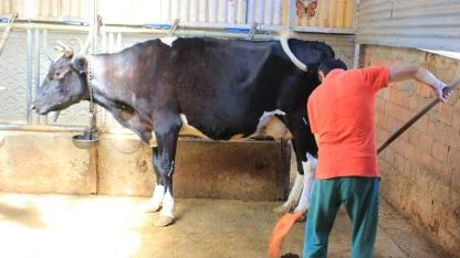 Çiftçinin krediye ulaşması daha da zorlaştı