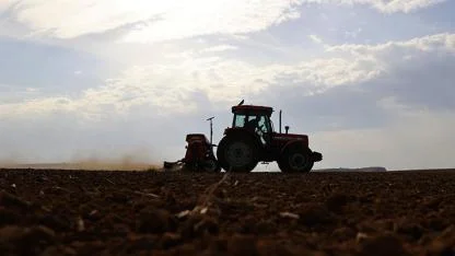 Edirne'de "buğday ekimini 10 kasımdan önce yapmayın" uyarısı