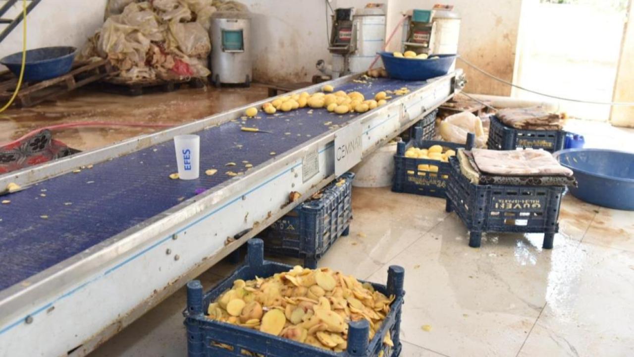 İsraf edilen gıda yıllık 26 milyon tona çıktı