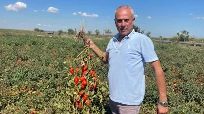 Londra'da kazandıklarıyla memleketine toprak yatırımı yaptı