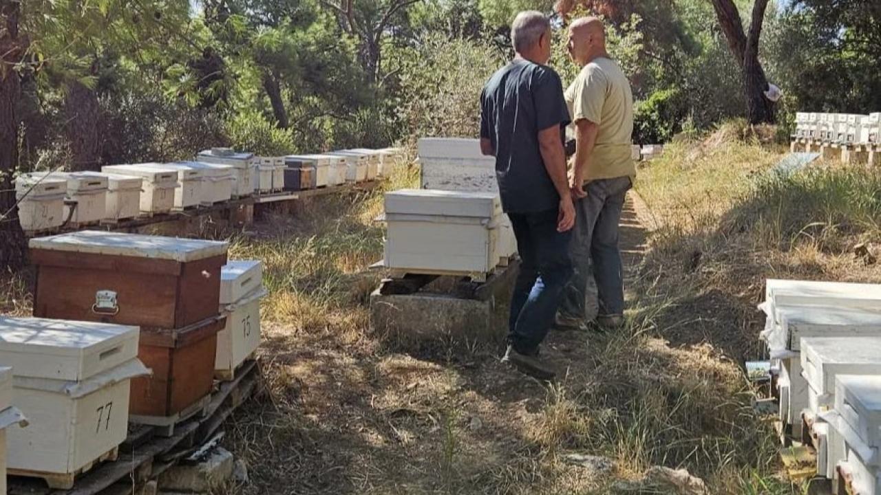 Manisa Büyükşehir&#039;in arıcılık desteğine başvurular sürüyor