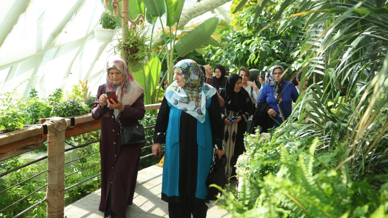 Otomatik Taslak