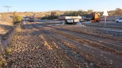 Tır devrildi tonlarca patates yola saçıldı