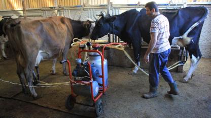TÜSEDAD: Çiftçiler hezeyan ve hayal kırıklığına uğramıştır