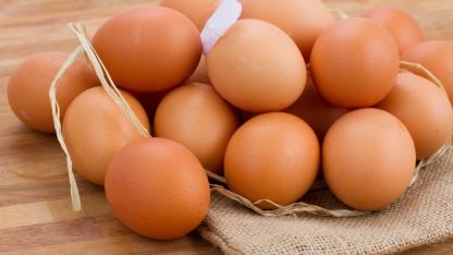 Yumurta üretimi 8 ayda 1,3 milyar adet düştü