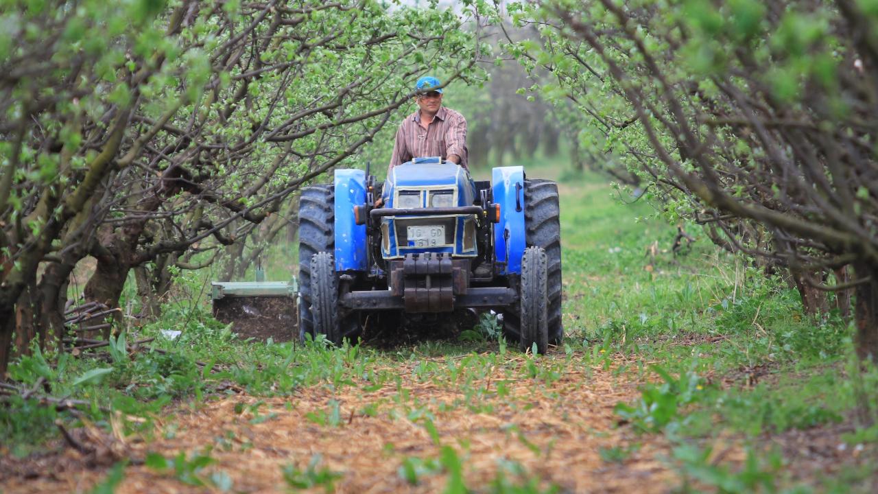 Zirai kredilerde yanlıştan dönüldü