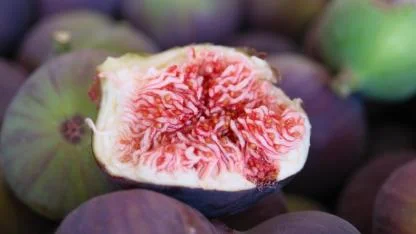 15 Aralık'ta okullarda "Coğrafi İşaret Günü" kutlanacak