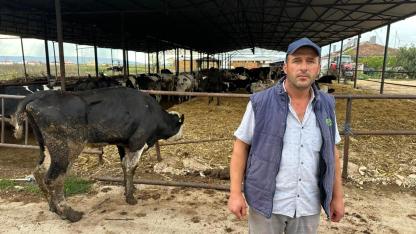 15 yılda yaptığı 300 hayvan şap yüzünden 10 günde gitti