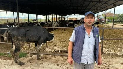 15 yılda yaptığı 300 hayvan şap yüzünden 10 günde gitti