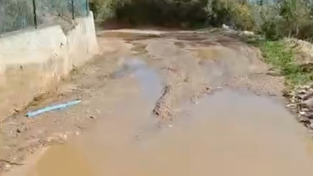 2 yılda 40 dilekçe verdiler; 4 çiçek saksısı alabildiler