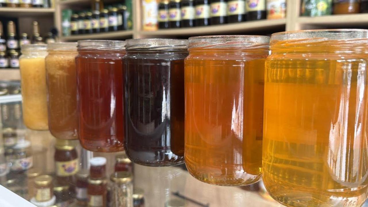 &quot;Borsa Meydanında&quot; coğrafi işaretler konuşuldu