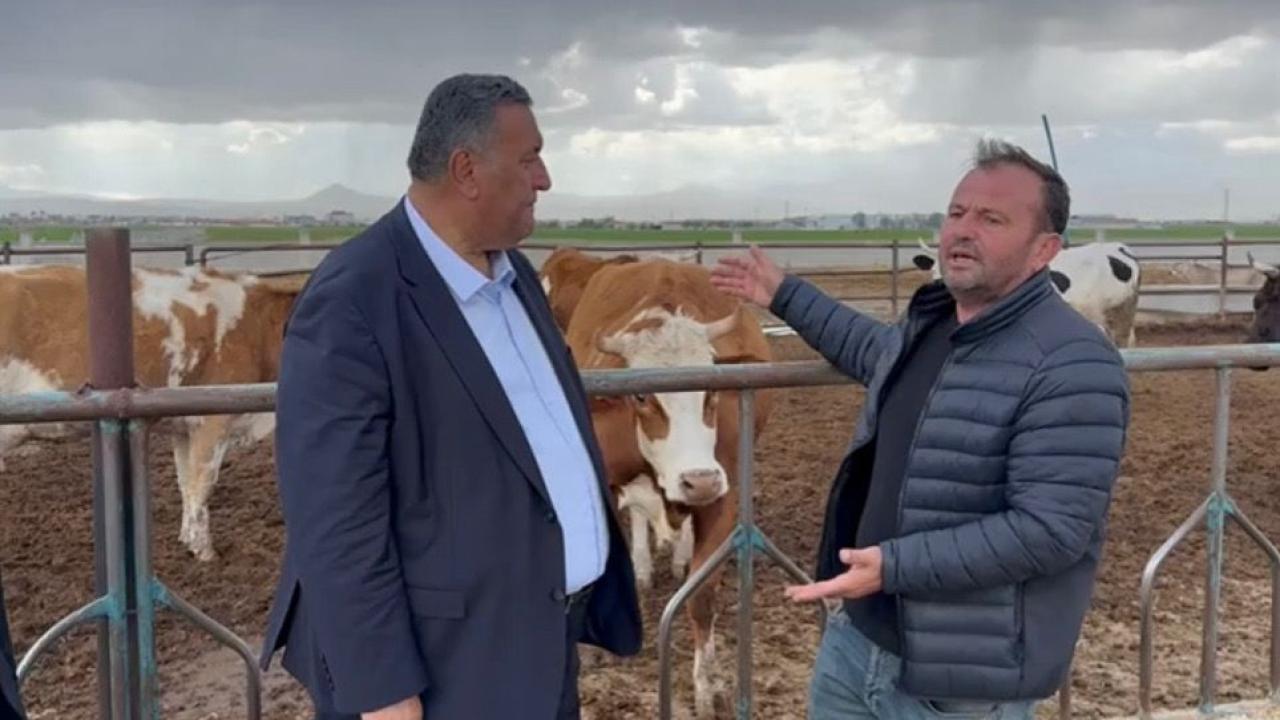 CHP&#039;li Gürer: Şaptan çok hayvan öldü Bakanlık bilgi vermiyor