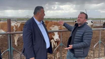 CHP'li Gürer: Şaptan çok hayvan öldü Bakanlık bilgi vermiyor