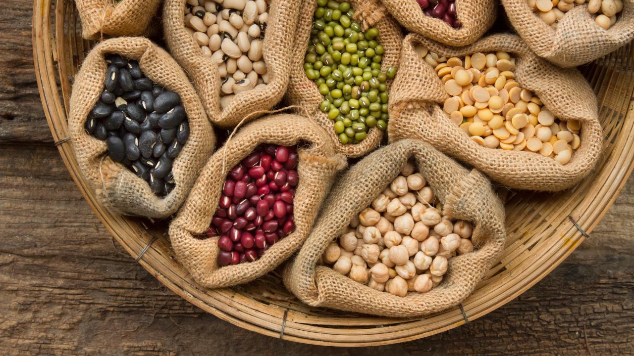 CHP&#039;li Gürer: Tarımda kendimize yetemez olduk ithalat arttı