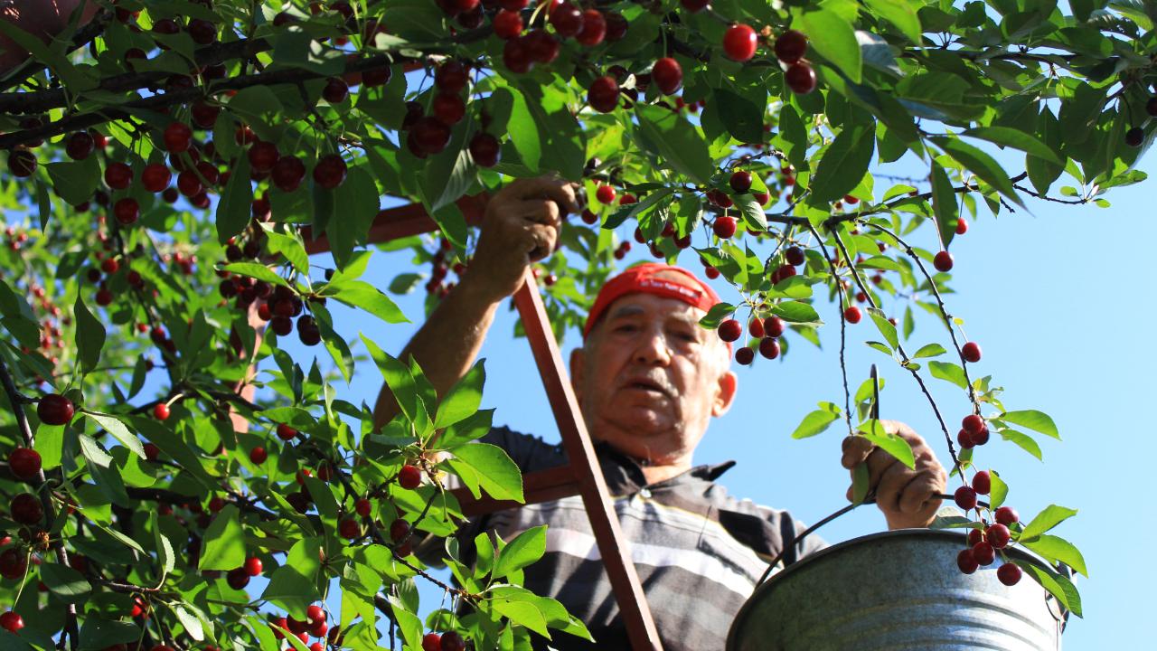 Çiftçinin başı enflasyonla belada
