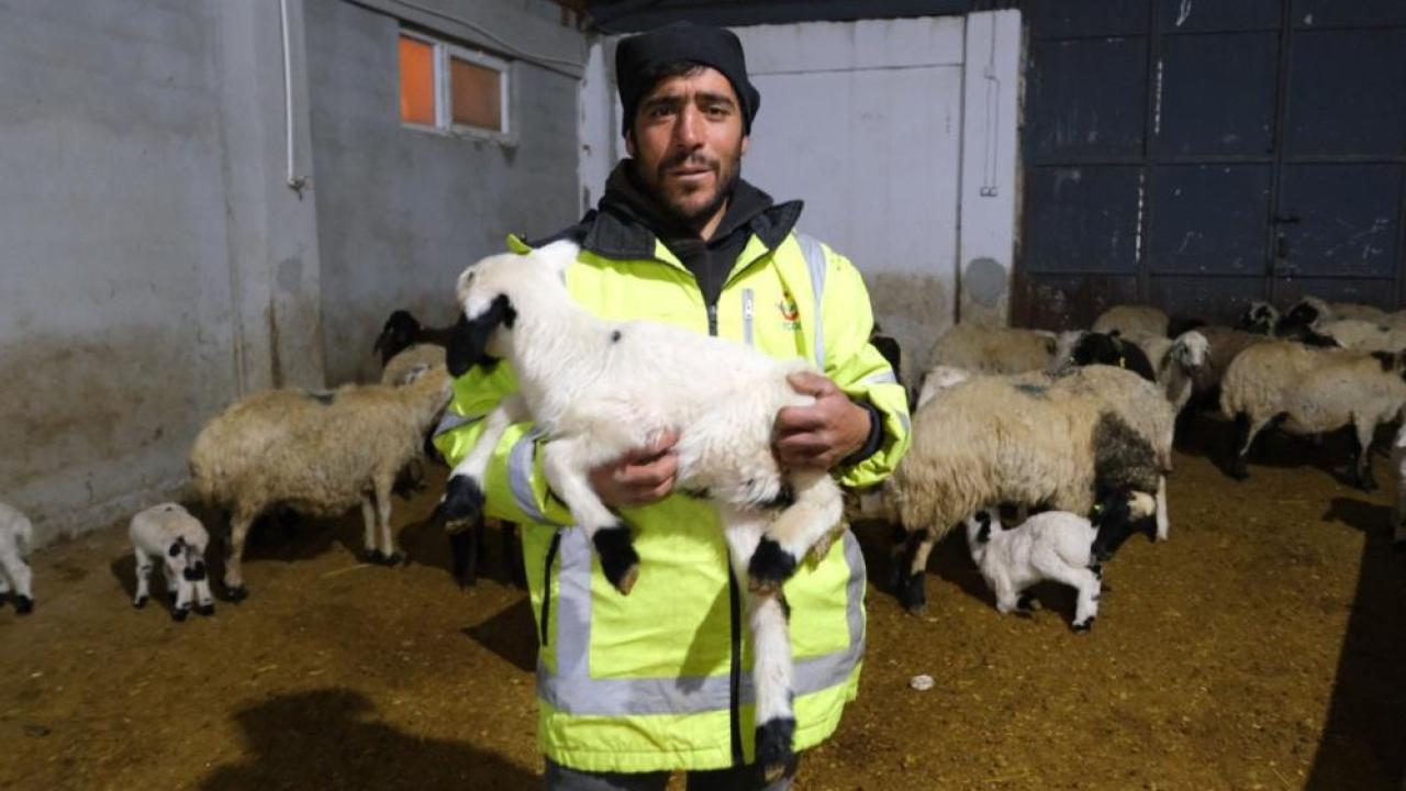 Devlet desteğiyle çiftlik kurdu 10 ton peynir ve et üretiyor