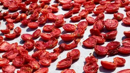 Dünya liderine bile kuru domates sattık