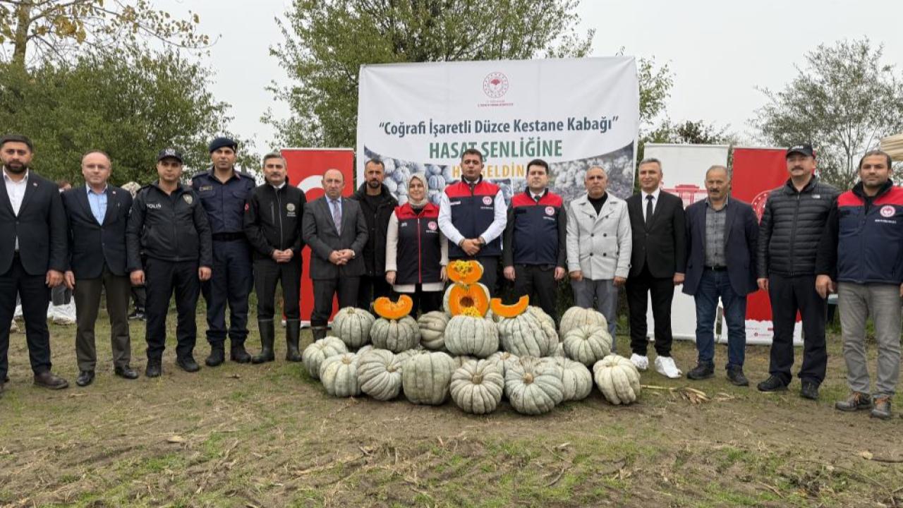 Düzce&#039;de kestane kabağı hasat şenliği