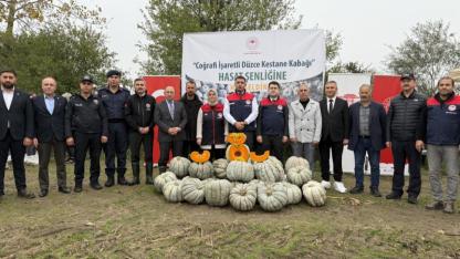 Düzce'de kestane kabağı hasat şenliği