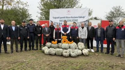 Düzce'de kestane kabağı hasat şenliği
