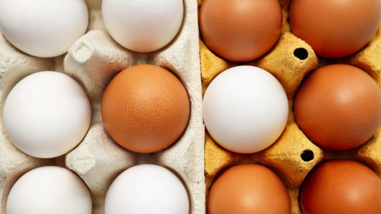 Edirne Milletvekili Ün: Yumurtaya erişim daha da zorlaşacak