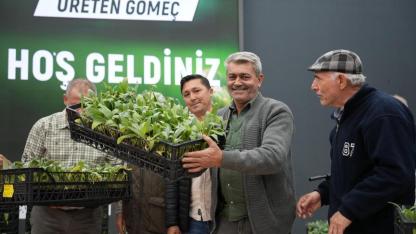 Gömeç'te 50 bin enginar fidesi dağıtıldı