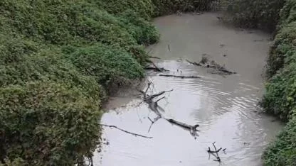 Kaz Dağı'ndan temiz doğuyor Marmara'ya oksijensiz akıyor