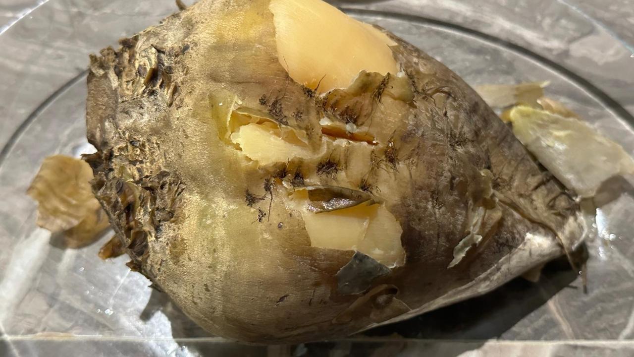 Kırsalda sobada şehirde tencerede; lifli ve sakinleştiriyor