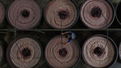 Marmarabirlik ortalama 115 liradan 8 bin ton ürün aldı