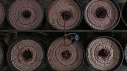 Marmarabirlik ortalama 115 liradan 8 bin ton ürün aldı