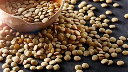 Mercimeğin anavatanıydık ithalatta gümrük vergisini düşürdük