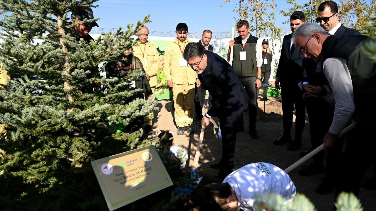 Milli Ağaçlandırma Günü&#039;nde fidan dikme rekoru kırıldı