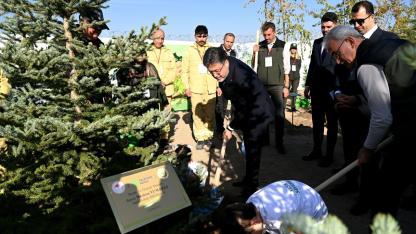 Milli Ağaçlandırma Günü'nde fidan dikme rekoru kırıldı