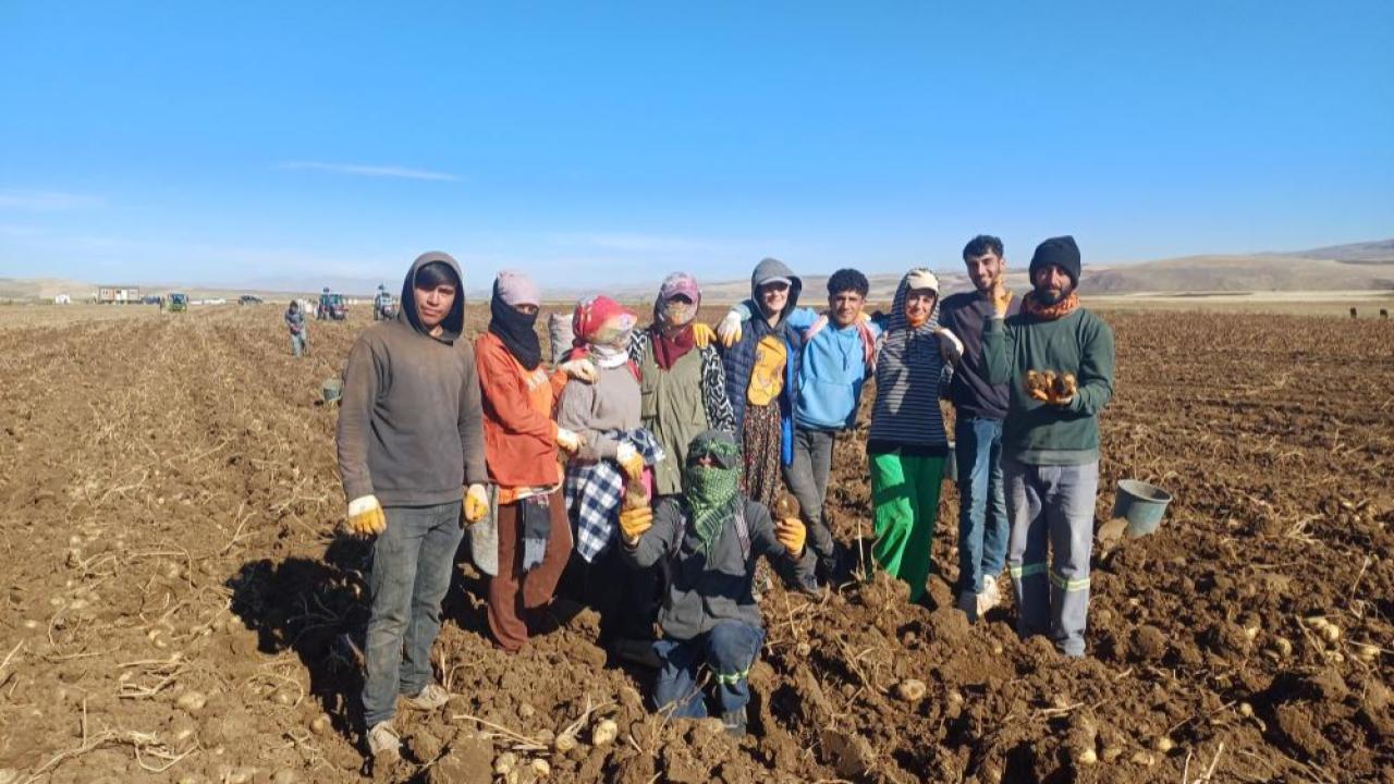 Muş&#039;ta patates üreticisinin yüzü güldü