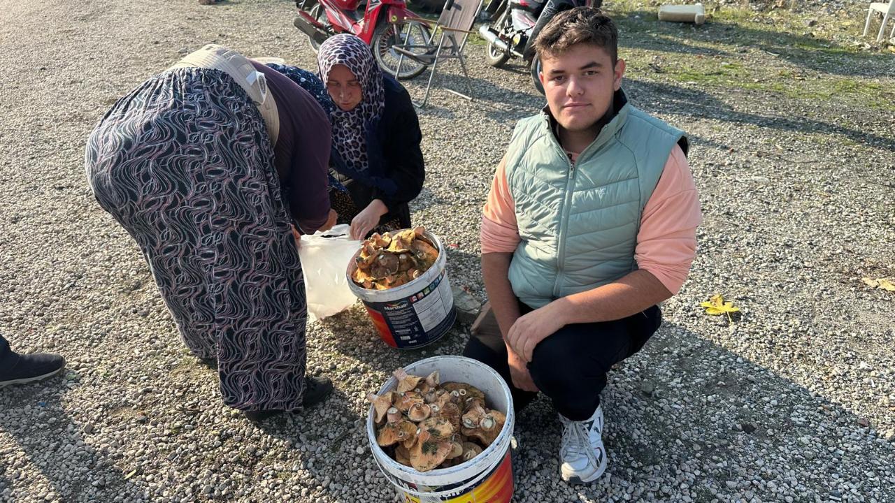 Okul harçlığını &quot;kanlıca&quot;dan çıkarıyor