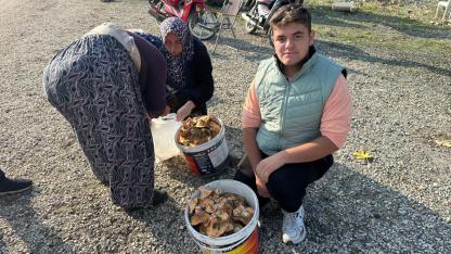 Okul harçlığını "kanlıca"dan çıkarıyor