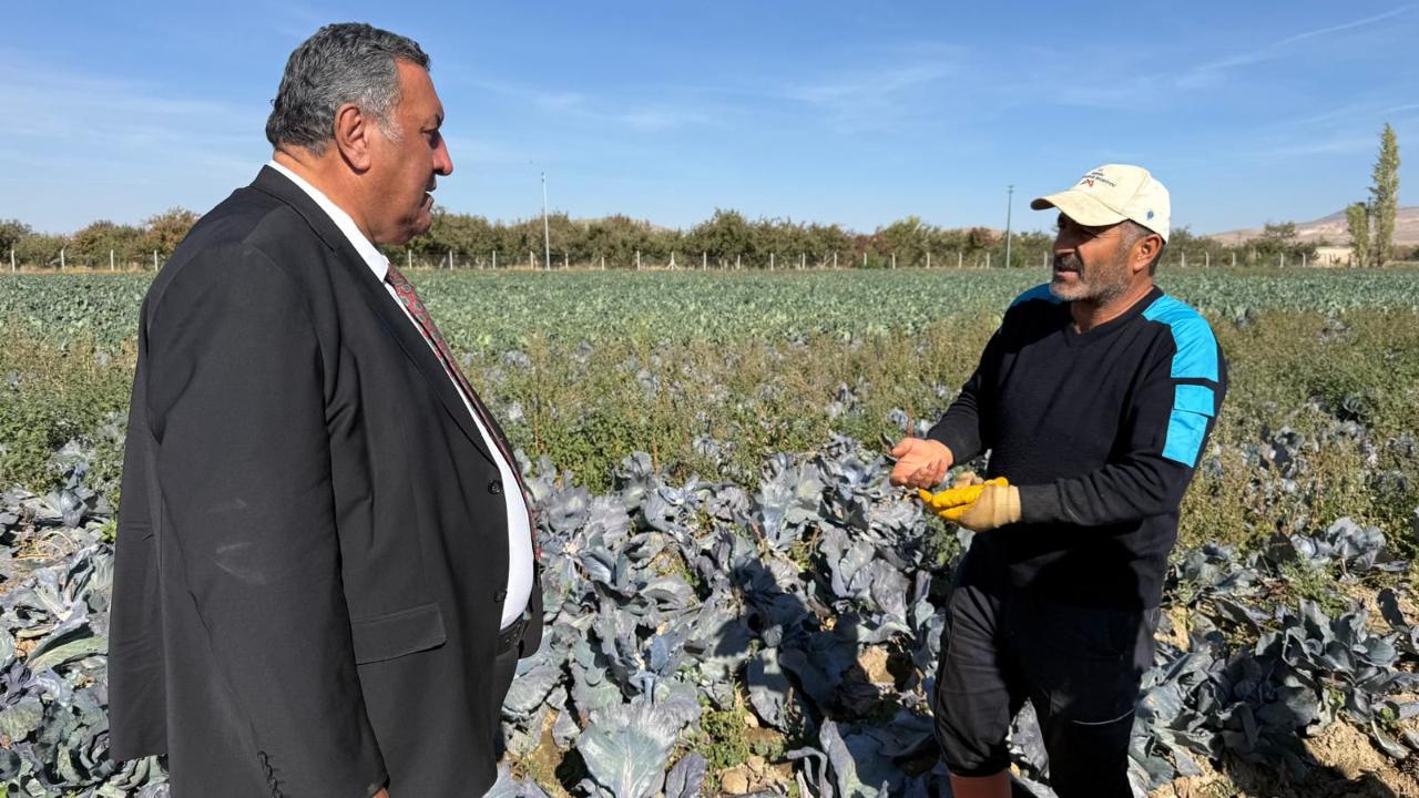 Patates ve mısırdan zarar etti şimdi karnabahar deniyor