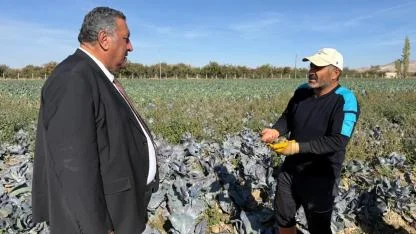 Patates ve mısırdan zarar etti şimdi karnabahar deniyor