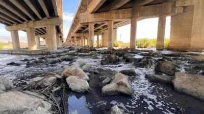 Fabrika atığıyla kirleniyor baraja ulaşıyor balıklar ölüyor