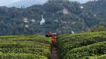 Rize'de dev çay bardaklı çekim ilgi gördü