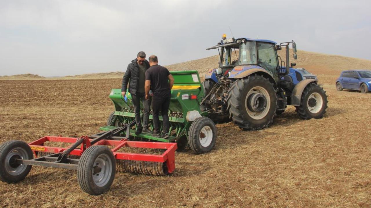 Sivas&#039;ta 5 yeni ekmeklik buğday tohumu toprakla buluştu